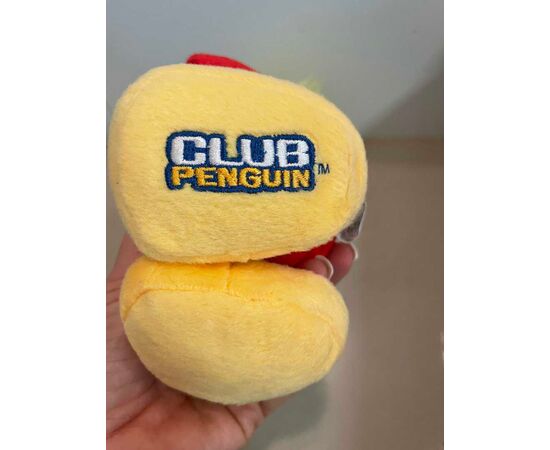 Garage Sales CHESTER HILL -  874