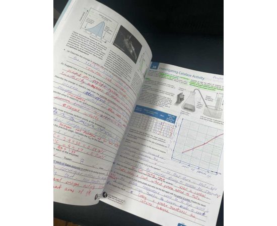 Garage Sales Williamstown -  1194