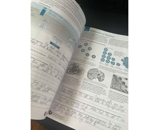 Garage Sales Williamstown -  1220